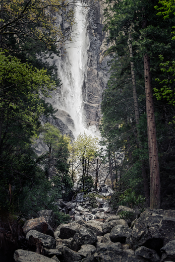Yosemite National Park