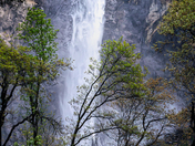 Yosemite National Park