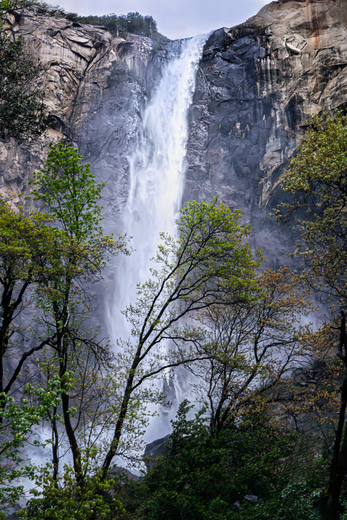 Yosemite National Park