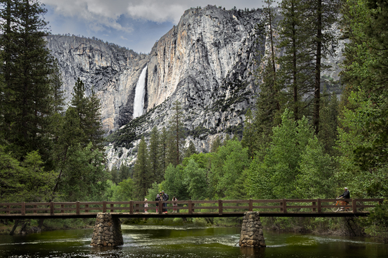 Yosemite National Park