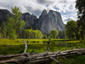 Yosemite National Park