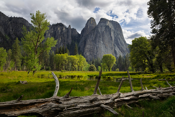 Yosemite National Park