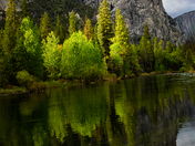 Yosemite National Park