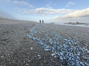 King Range Wlderness