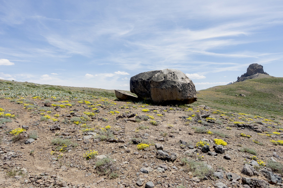 Mokelumne Wilderness