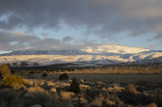 Pine Nut Mountains
