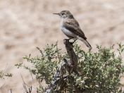 Badlands National Park