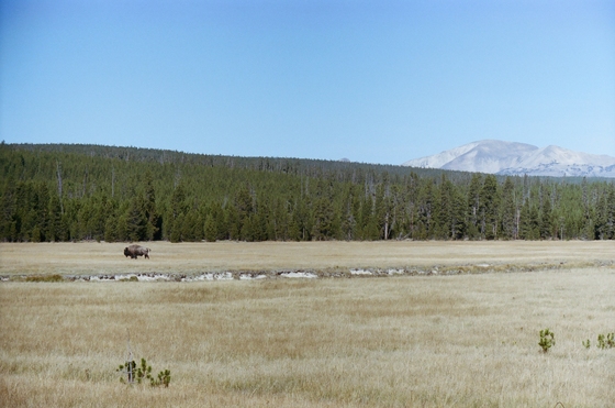Yellowstone National Park