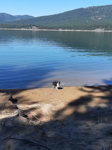 Kootenai National Forest