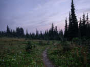 Goat Rocks Wilderness