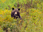 Glacier National Park
