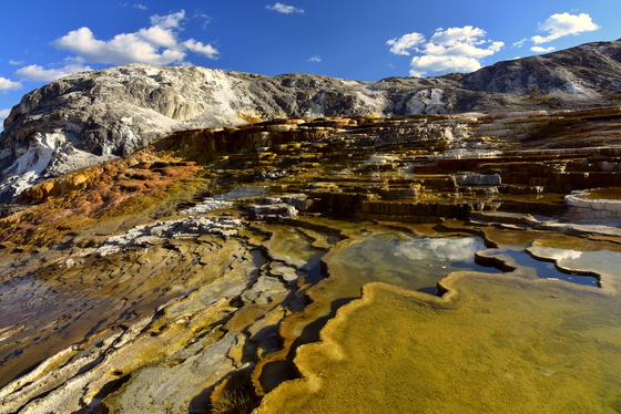 Yellowstone National Park