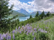 Glacier National Park