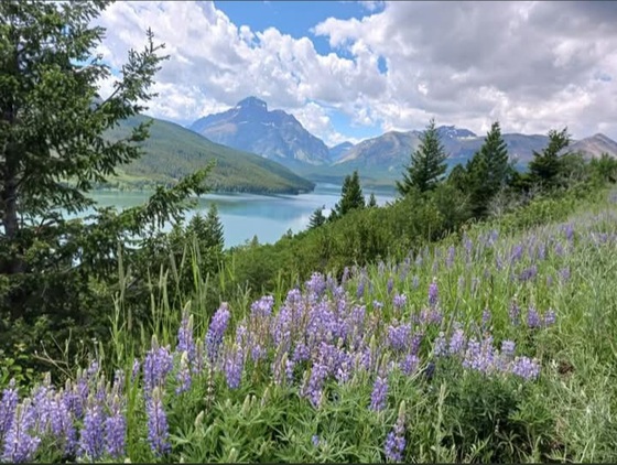 Glacier National Park