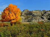  Theodore Roosevelt National Park