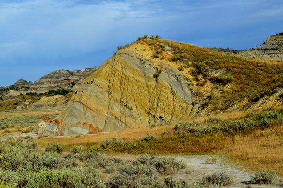 Theodore Roosevelt National Park