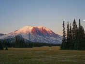 Mount Rainier National Park