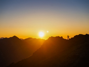 Olympic National Forest