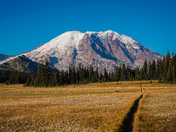 Mt Rainier National Park