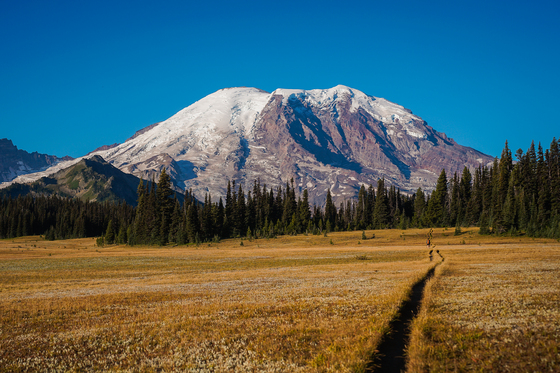 Mt Rainier National Park