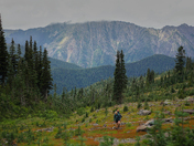 Alpine Lakes Wilderness