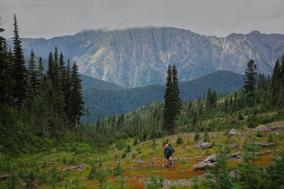 Alpine Lakes Wilderness