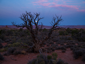 Arches National Park 