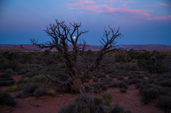 Arches National Park 