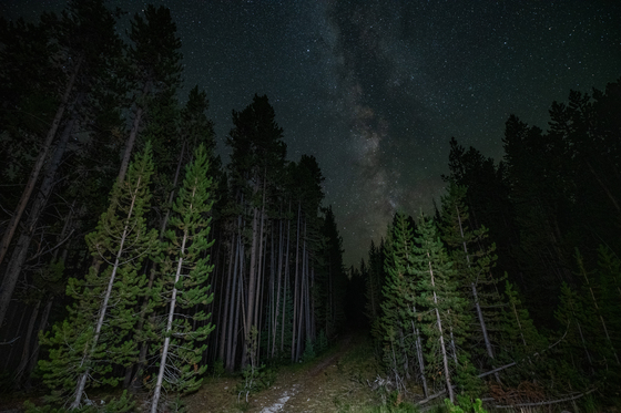 Yellowstone National Park