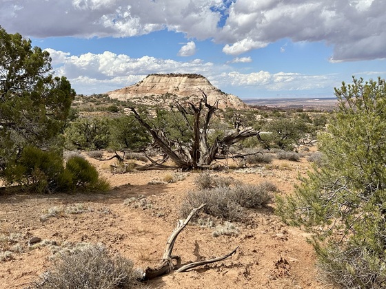 Bryce Canton National Park