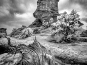 Canyonlands National Park