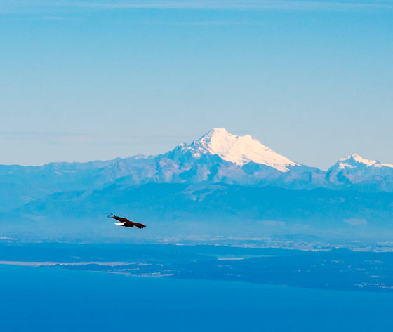 Olympic National Park