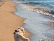 Pictured Rocks National Lakeshore