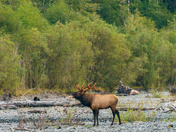 Olympic National Park