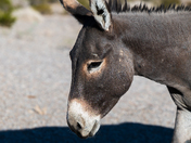 Death Valley National Park