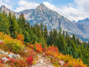 Okanogan-Wenatchee National Forest