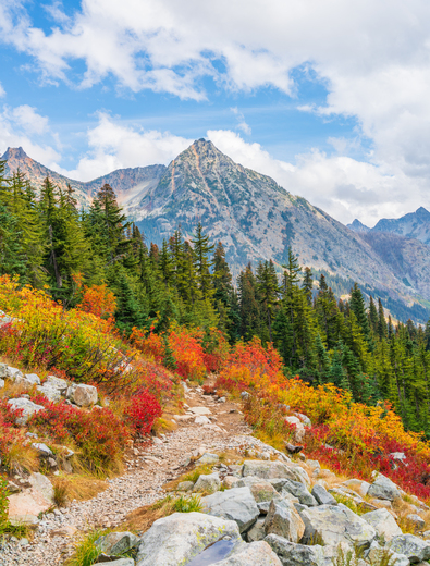 Okanogan-Wenatchee National Forest
