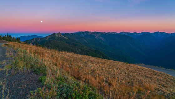 Olympic National Park