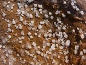 Death Valley National Park