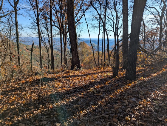 Chattahoochee Oconee National Forest 