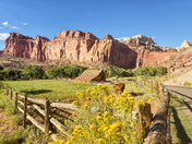 Capital Reef National Park 