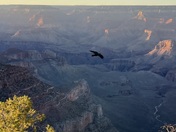 Grand Canyon National Park