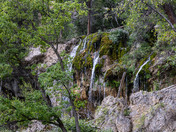 White River National Forest