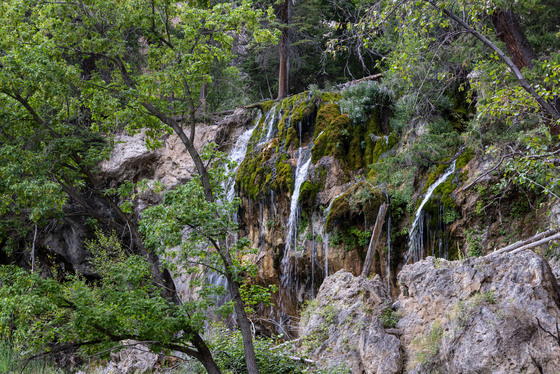 White River National Forest