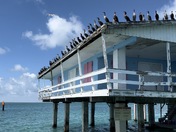 Biscayne National Park