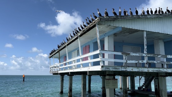 Biscayne National Park