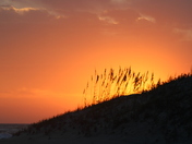 Cape Hatteras National Seashore
