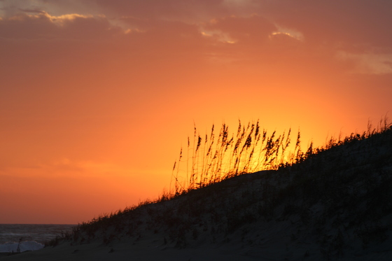 Cape Hatteras National Seashore