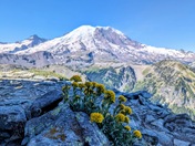 Mount Rainier National Park
