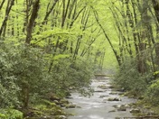 Great Smoky Mountains National Park 